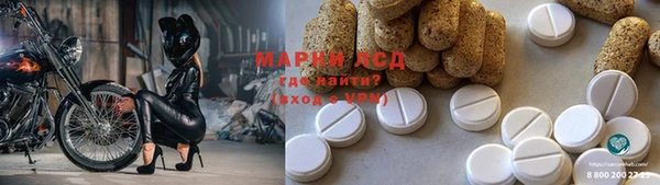 крисы Магадан