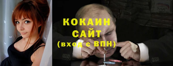 крисы Магадан