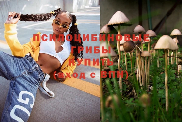 крисы Магадан