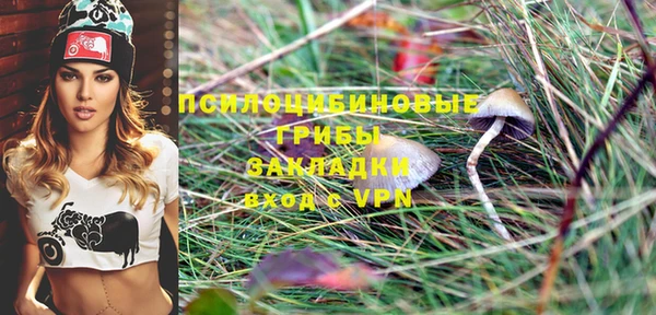 крисы Магадан