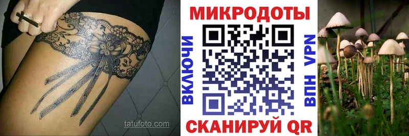 Галлюциногенные грибы Psilocybine cubensis Зерноград