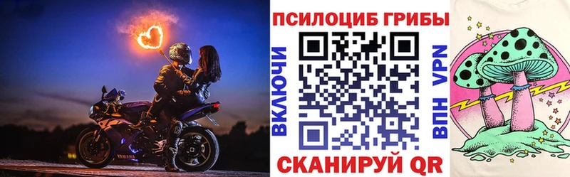 Купить где Зерноград Псилоцибиновые грибы мухоморы