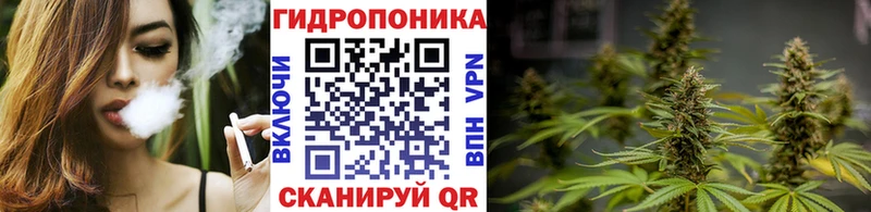 Шишки марихуана OG Kush Зерноград